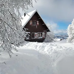 La Au Pied Des Pistes Chalet Chastreix