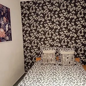 Hyper Centre 1 Jardin Clos Appartement Lorient